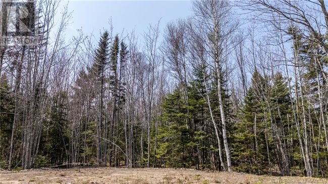 1387 Bells Mills Rd, Home with 0 bedrooms, 0 bathrooms and null parking in Richibouctou-Village NB | Image 10