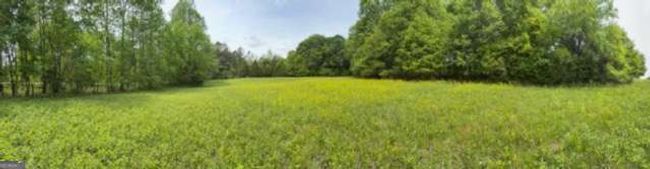 0 Deep Creek Rd, Home with 0 bedrooms, 0 bathrooms and null parking in Dewy Rose GA | Image 4