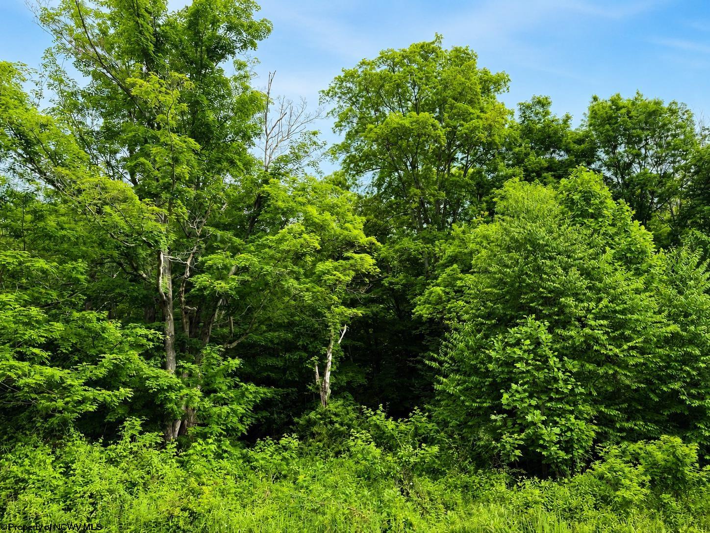 Land in Dryfork 3