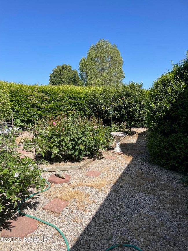 yard | Image 33