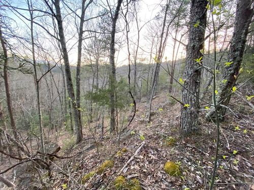 46 Beechwood Ln, Sevierville, TN, 37862 | Card Image