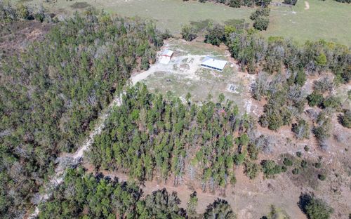 11125 176th St, Mc Alpin, FL, 32062-2438 | Card Image