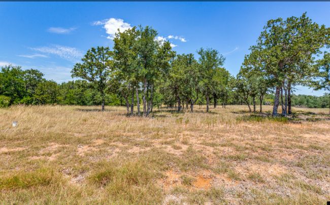 271 Creek Meadow Ct, Home with 0 bedrooms, 0 bathrooms and null parking in Lipan TX | Image 6