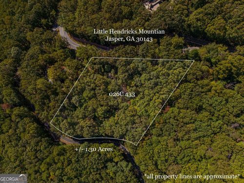 0 Little Hendricks Mountain Rd, Jasper, GA, 30143 | Card Image