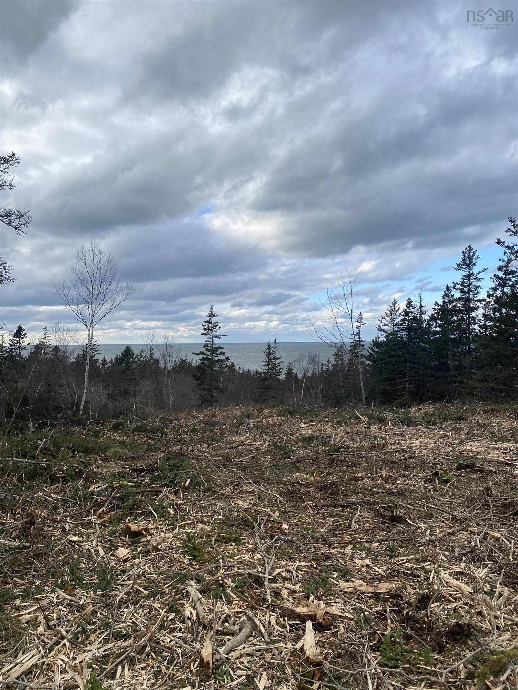 Land in Phinneys Cove