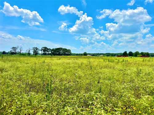 TBD Tract 24 County Rd 3644, Pickton, TX, 75471 | Card Image