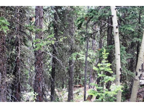 0 Hidden Wilderness Rd, Idaho Springs, CO, 80452 | Card Image