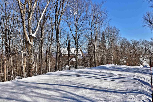 1300 Mountain Rd, House other with 4 bedrooms, 5 bathrooms and null parking in Ludlow VT | Image 16