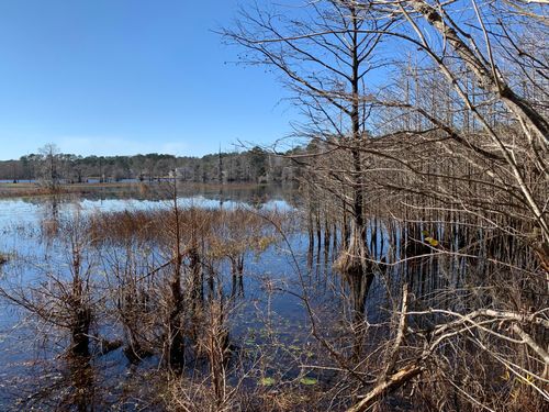 944 Hunt Dr, Huger, SC, 29450-9576 | Card Image