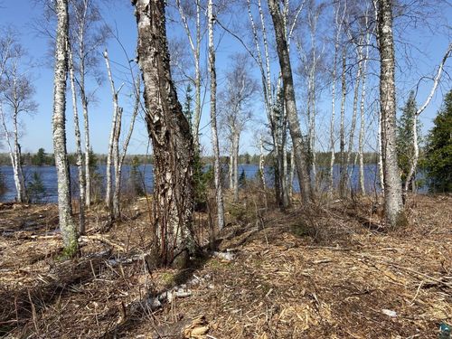 2102-8 N Bear Lake Rd, Brimson, MN, 55602 | Card Image