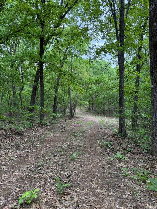 40 Ridge Rd, Hardy, AR, 72542 | Card Image