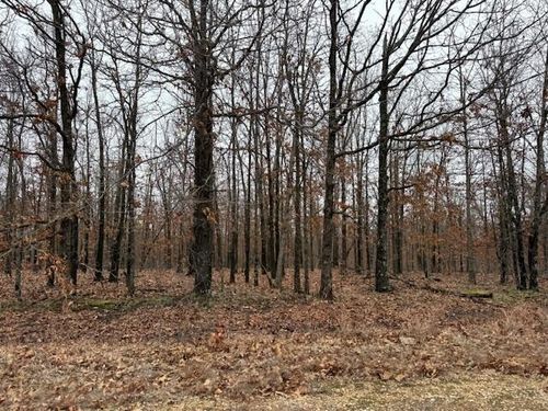 6.47 Acres Hawkweed Trail, Tunas, MO, 65764 | Card Image