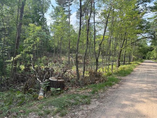 ON Star Lake Rd, Plum Lake, WI, 54561 | Card Image