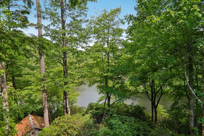 219 Hiwassee Rd, House other with 3 bedrooms, 4 bathrooms and null parking in Lake Toxaway NC | Image 12