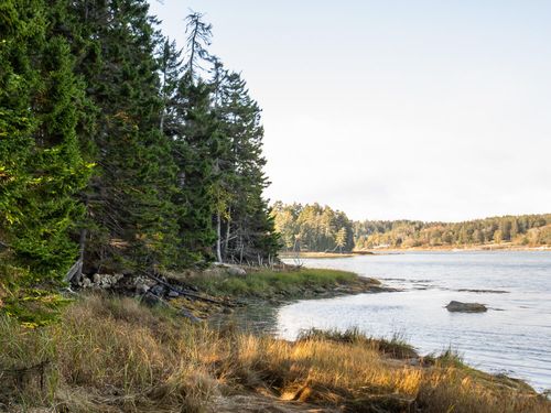 63 Minturn Road, Swans Island, ME, 04685 | Card Image