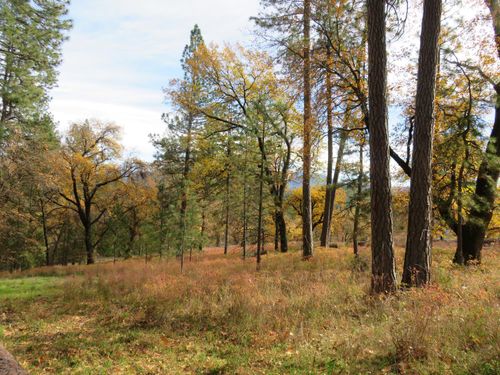 850 Barbara Ln, West Point, CA, 95255-7001 | Card Image