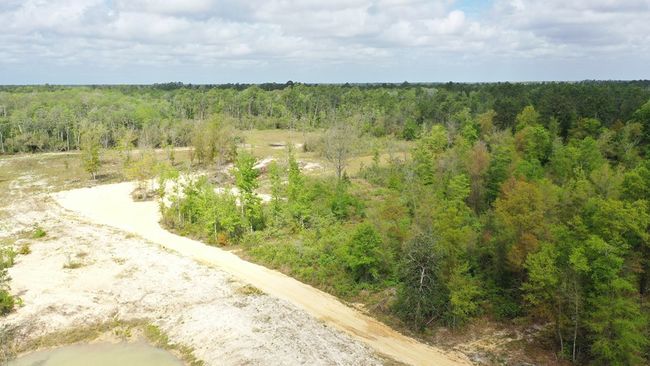 2771 S Highway 71, Home with 0 bedrooms, 0 bathrooms and null parking in Wewahitchka FL | Image 4