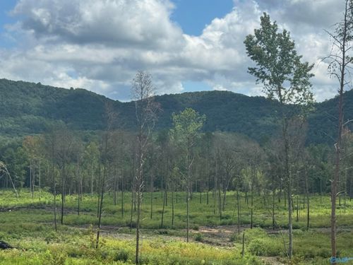 Lot 15 County Road 794, Gaylesville, AL, 35973 | Card Image