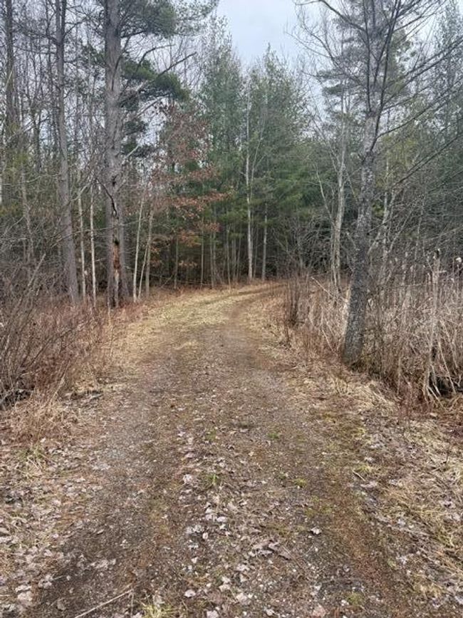 10 S Queens Hwy, Home with 0 bedrooms, 0 bathrooms and null parking in Chase MI | Image 6