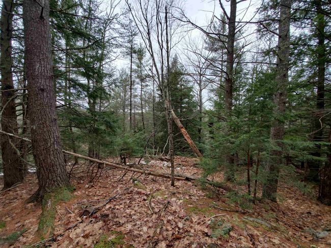 00 Berry Farms Rd, Home with 0 bedrooms, 0 bathrooms and null parking in Bristol NH | Image 23