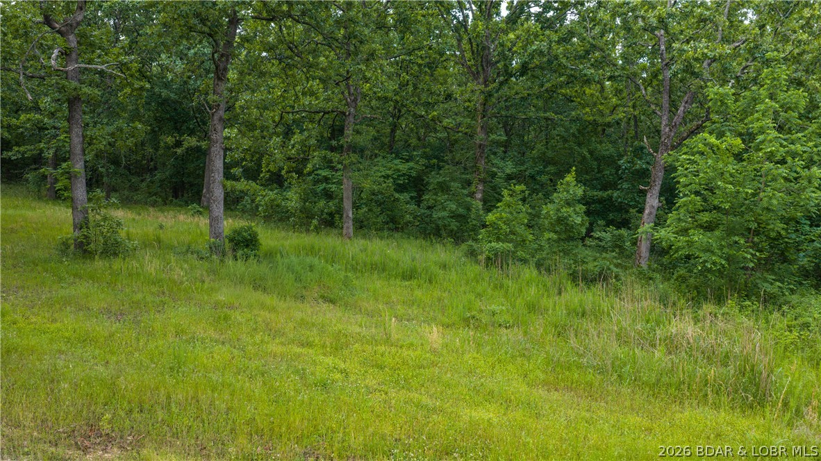 Land in Montreal 4