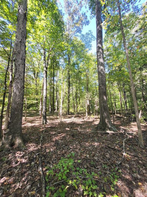 9 Cedar Lake Rd, South Boston, VA, 24592 | Card Image