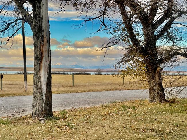 View from front Yard | Image 30