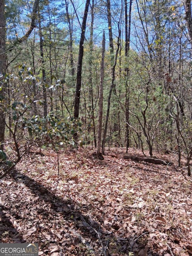 751752 - LOT 751 Morton Dr, Home with 0 bedrooms, 0 bathrooms and null parking in Ellijay GA | Image 5