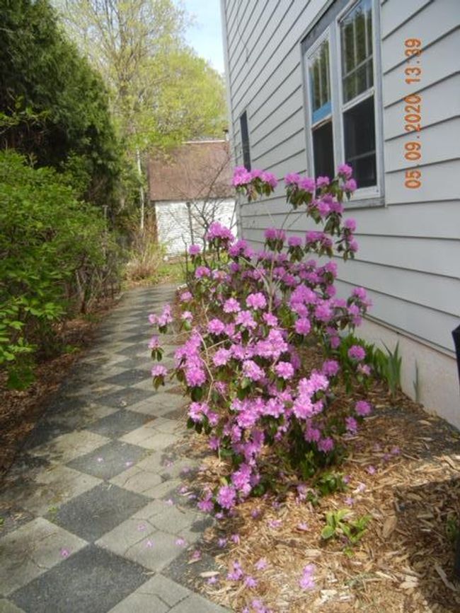11212 W River Road, House other with 4 bedrooms, 3 bathrooms and null parking in Champlin MN | Image 50