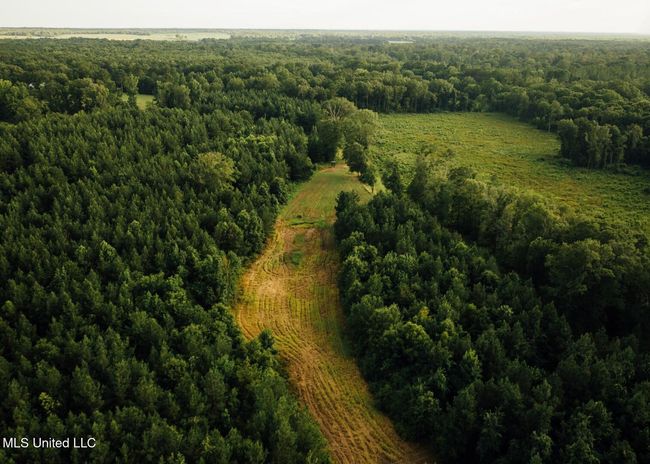 Castens Creek Pics-50 | Image 21