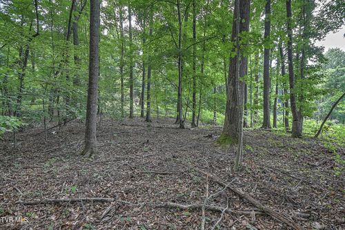 2 Payne Ridge Rd, Church Hill, TN, 37642 | Card Image