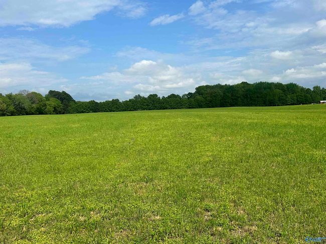 Lot 4 Tillman Mill Rd, Home with 0 bedrooms, 0 bathrooms and null parking in Athens AL | Image 4