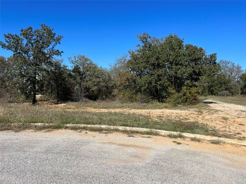 TBD Julie Dr, Mineral Wells, TX, 76067 | Card Image