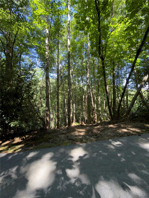 67 Willow Ct, Sapphire, NC, 28774-9680 | Card Image