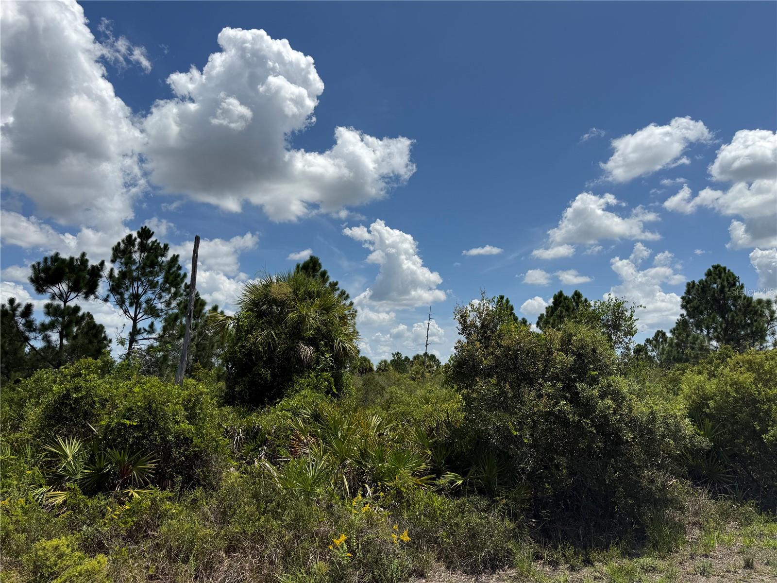 Land in PORT CHARLOTTE 3