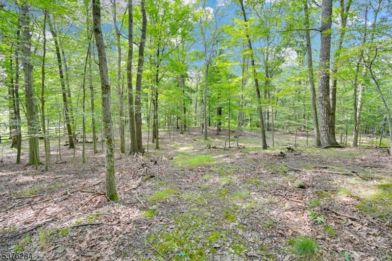 Land in Fredon Twp. 4