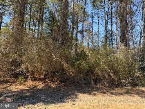 1102 Amidship Dr, GREENBACKVILLE, VA, 23356 | Card Image