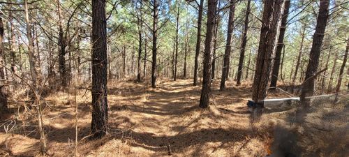 1 Saddleback Dr, Dover, TN, 37058 | Card Image