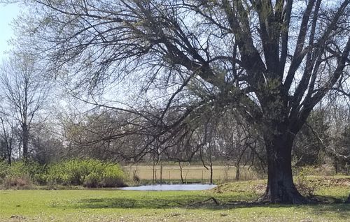 0000 Fm 1502, Detroit, TX, 75436 | Card Image