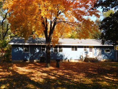 Mature trees for summer shade | Image 2