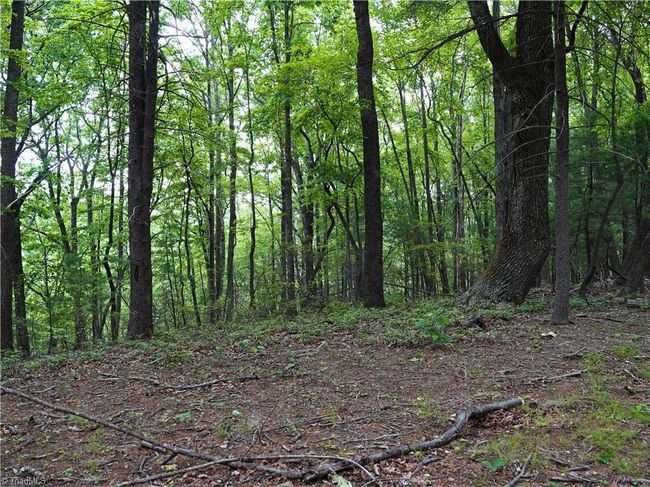 1440 Webb Mountain Rd, Home with 0 bedrooms, 0 bathrooms and null parking in Boones Mill VA | Image 5