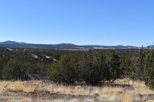 TBD Stanford Rd, Concho, AZ, 85924 | Card Image