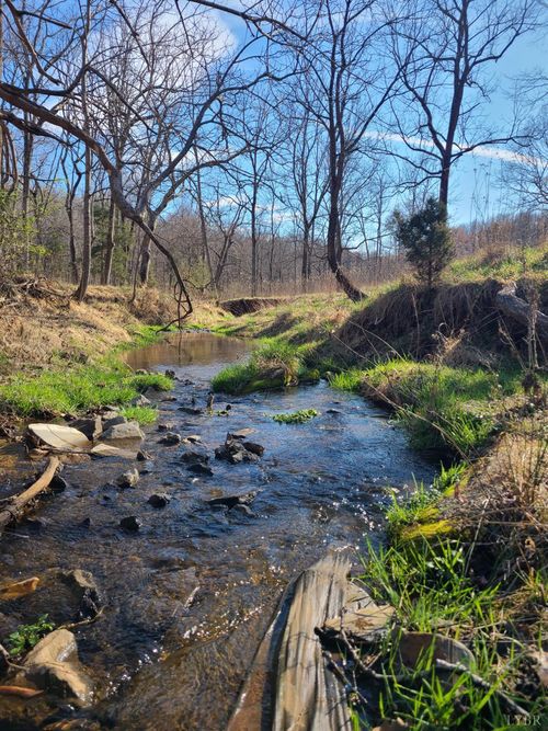 0 Cifax Rd, Goode, VA, 24556 | Card Image