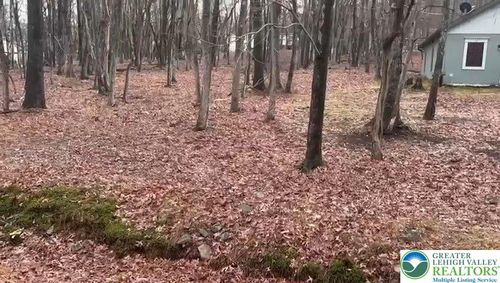 1128-124 Shawnee Trl, Albrightsville, PA, 18210-3914 | Card Image