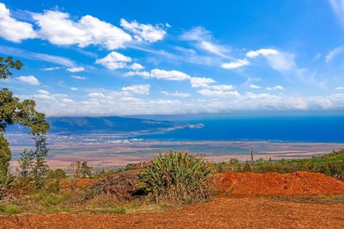 unit-6-0 Haleakala Hwy, Kula, HI, 96790 | Card Image