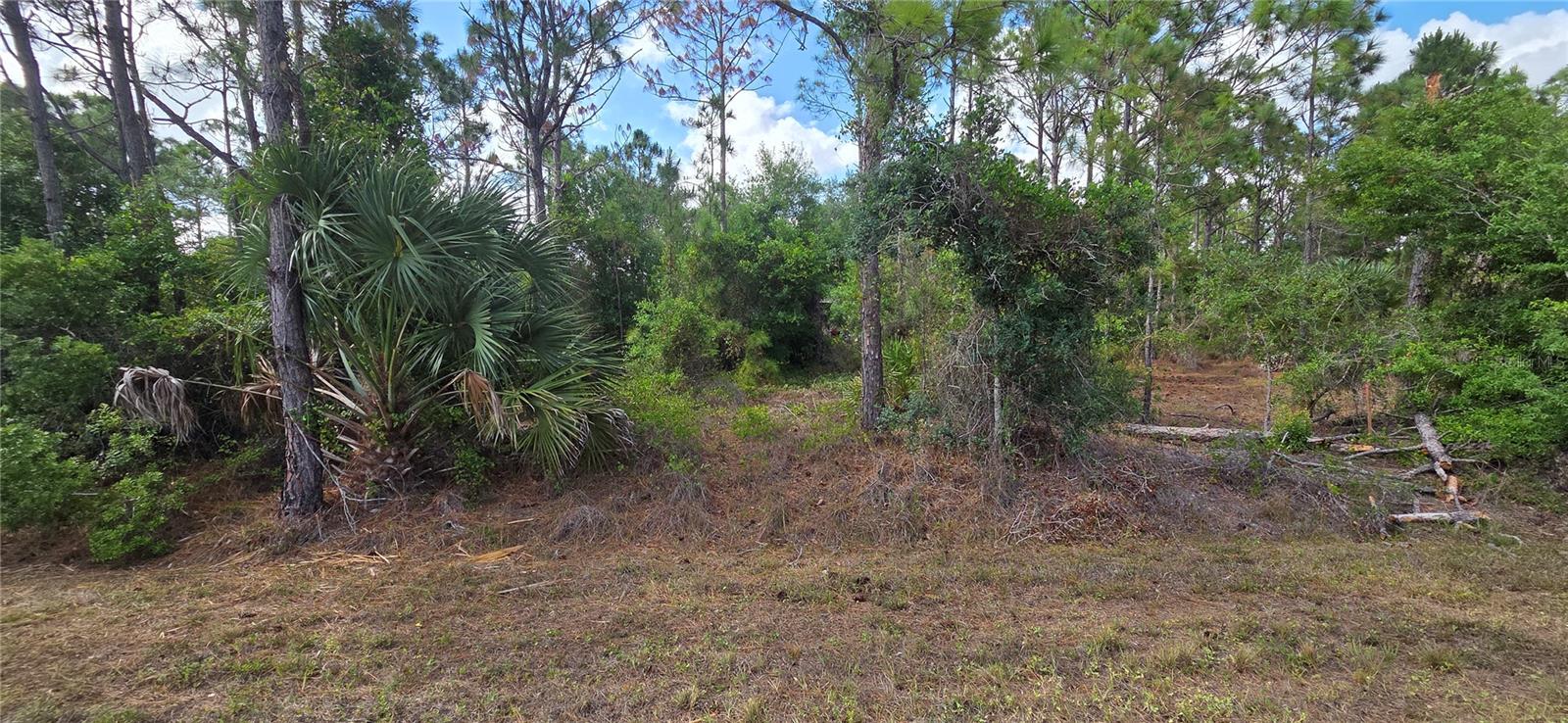 Land in PUNTA GORDA 4