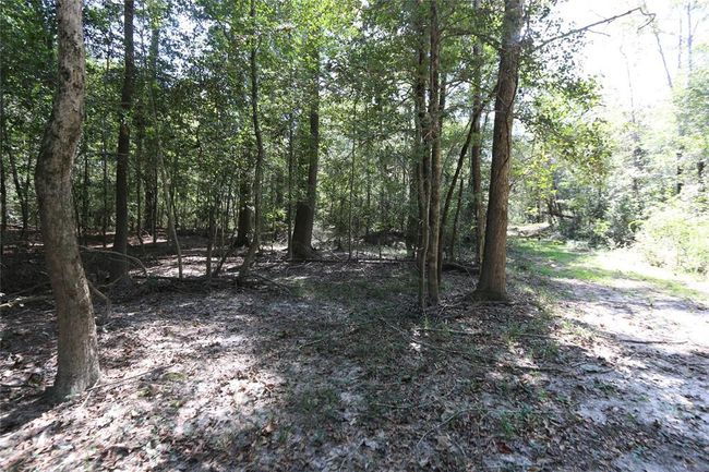 18157 State Highway 87 S, Home with 2 bedrooms, 1 bathrooms and 1 parking in Call TX | Image 33
