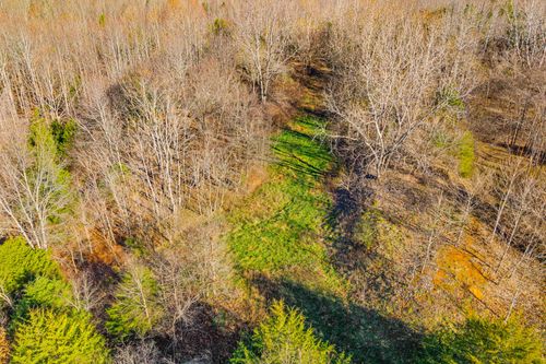 96 Ramery Rd, Cumberland City, TN, 37050 | Card Image