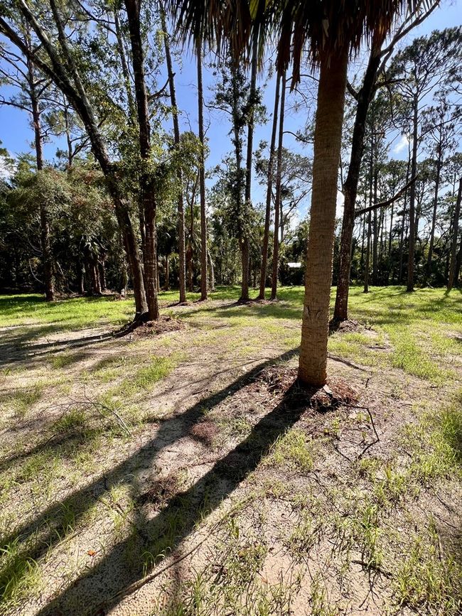 0 Ne Webb Ln, Home with 0 bedrooms, 0 bathrooms and null parking in Steinhatchee FL | Image 9