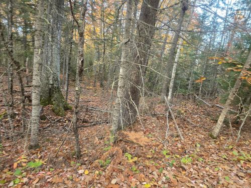 Lot 1 W Cider Mill Ln, Swanville, ME, 04915-4366 | Card Image